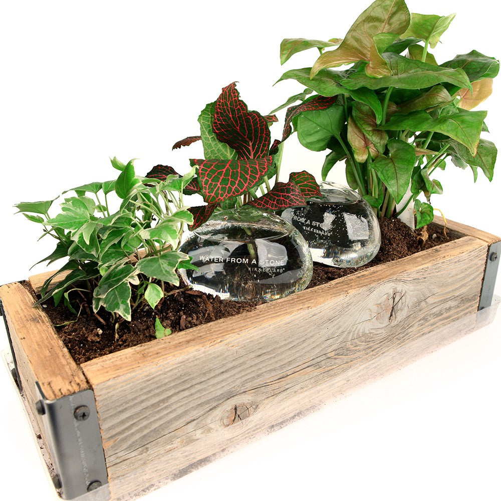 Kikkerland Water From A Stone - vandsten - Bahne